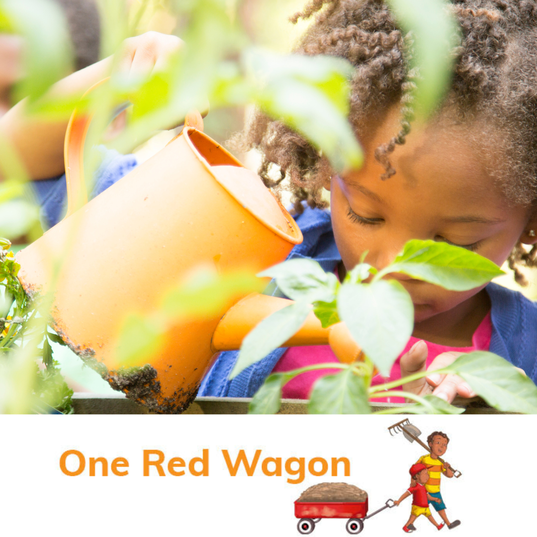 One red wagon (1)